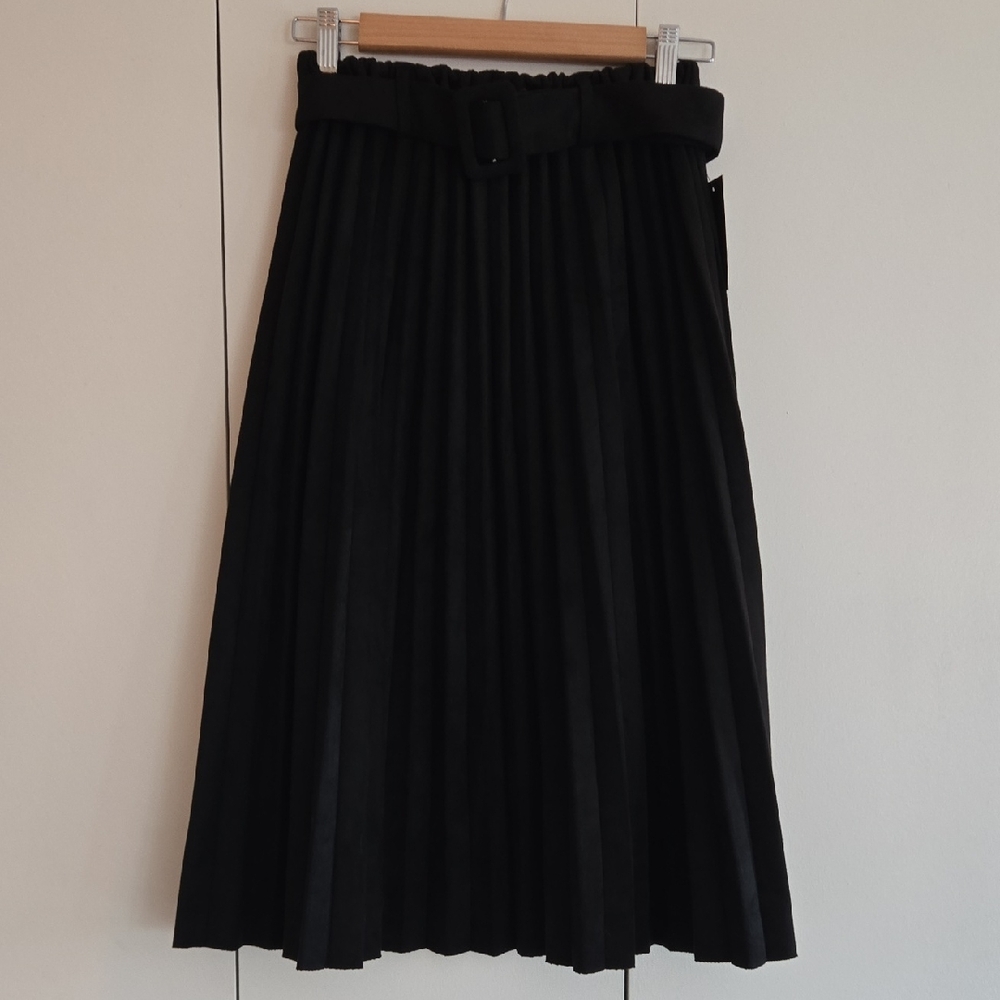 Alice Blue Black Pleated A-Line Skirt